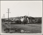 Washington, Cowlitz County, Longview. Down one street on Longview homestead project, several years after completion. Note fruit trees