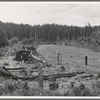 Washington, Western. Thurston County, near Michigan Hill. Another view of stump farm