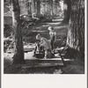 Oregon, Marion County, near West Stayton. Children in large private bean pickers camp. Pickers came from many states, from Oklahoma to North Dakota