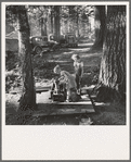 Oregon, Marion County, near West Stayton. Children in large private bean pickers camp. Pickers came from many states, from Oklahoma to North Dakota
