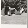 Oregon, Marion County, near West Stayton. Camp representative of fourteen in group. On grower's land adjoining the bean field. See general caption number 46