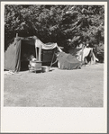 Oregon, Marion County, near West Stayton. Camp representative of fourteen in group. On grower's land adjoining the bean field. See general caption number 46