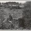 Mumby Lumber Mill, closed in 1938 after thirty-five years operation. Now being dismantled. Western Washington, Grays Harbor County, Malone, Washington