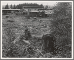 Mumby Lumber Mill, closed in 1938 after thirty-five years operation. Now being dismantled. Western Washington, Grays Harbor County, Malone, Washington