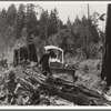 Bulldozer equipped with grader blade pushing over a stump. Western Washington, Lewis County, near Vader, Washington. See general caption number 46