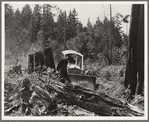 Bulldozer equipped with grader blade pushing over a stump. Western Washington, Lewis County, near Vader, Washington. See general caption number 46