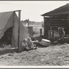 Bean pickers' camp in grower's yard. No running water. Marion County, near West Stayton, Oregon. See general caption number 46
