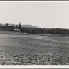 The Nieman farm showing cleared land on which the bulldozer is clearing more land. Western Washington, Lewis County, near Vader. See general caption number 41