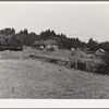 Western Washington subsistence farm, whittled out of the stumps. "Eighty per-cent of the forty-five thousand farms in western Washington are inadequate." Farm Security Administration (FSA) state director. Washington, Grays Harbor County