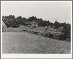 Western Washington subsistence farm, whittled out of the stumps. "Eighty per-cent of the forty-five thousand farms in western Washington are inadequate." Farm Security Administration (FSA) state director. Washington, Grays Harbor County