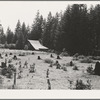 Western Washington stock farm. Washington, Lewis County