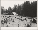 Western Washington stock farm. Washington, Lewis County