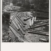 Logs at sawmill on Marys River near Corvallis, Oregon