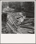 Logs at sawmill on Marys River near Corvallis, Oregon