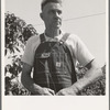 Hop picker, once Nebraska farm owner. Polk County, Oregon. See general caption number 45
