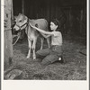 Young girl, daughter of small pear farmer tends her calf. She belongs to the 4-H Club, the largest movement among rural youth in America. Oregon. Jackson County, near Medford
