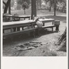 Oregon, Josephine County, Grants Pass. "California Day." A picnic in town park on the Rogue River. Hot summer afternoon toward the end of the picnic