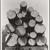 Oregon, Klamath County, near Klamath Falls. Pelican Bay Lumber Company. Logs hauled to the mill by flat car, then dumped into the mill pond. Note markings on logs. Mills brand their logs like cattle brands and there is likewise rustling of logs