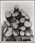 Oregon, Klamath County, near Klamath Falls. Pelican Bay Lumber Company. Logs hauled to the mill by flat car, then dumped into the mill pond. Note markings on logs. Mills brand their logs like cattle brands and there is likewise rustling of logs