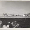 Washington, Yakima Valley, Moxee Valley district. Looking across alfalfa field, late afternoon. Shows layout of French Canadian farm with characteristic type barn and hop kiln and cabins for housing migratory pickers when season opens