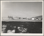 Washington, Yakima Valley, Moxee Valley district. Looking across alfalfa field, late afternoon. Shows layout of French Canadian farm with characteristic type barn and hop kiln and cabins for housing migratory pickers when season opens