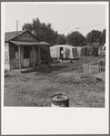 Washington, Yakima shacktown, (Sumac Park) is one of several large shacktown communities around Yakima. General caption number 26
