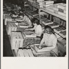 Packing fresh prunes at night on Produce Row during busy season, wages two cents per box. Washington, Yakima
