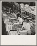 Packing fresh prunes at night on Produce Row during busy season, wages two cents per box. Washington, Yakima