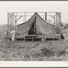 Family living in tent while building the house around them. Near Klamath Falls, Klamath County, Oregon. See general caption number 47
