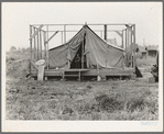 Family living in tent while building the house around them. Near Klamath Falls, Klamath County, Oregon. See general caption number 47