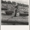 "Pond monkey" steers log raft in mill pond. Keno, Klamath County, Oregon. General caption number 61