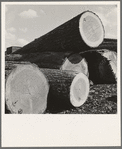 Logs piled in the mill yard. Keno, Klamath County, Oregon. General caption number 61