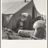 Living conditions for migrant potato pickers. Tulelake, Siskiyou County, California. General caption number 63-1