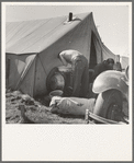 Living conditions for migrant potato pickers. Tulelake, Siskiyou County, California. General caption number 63-1