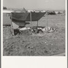 Living conditions for migrant potato pickers. Tulelake, Siskiyou County, California. General caption number 63-1