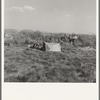 Camp of single men. Tulelake, Siskiyou County, California. Potato pickers. See caption number 63-1