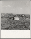 Camp of single men. Tulelake, Siskiyou County, California. Potato pickers. See caption number 63-1