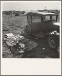 Living conditions for migrant potato pickers. Tulelake, Siskiyou County, California. Number 63-1 general caption