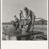 Drinking water for the whole town, also for the migrant camp across the road. Tulelake, Siskiyou County, California. See caption numbers 63-1 and 44