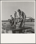 Drinking water for the whole town, also for the migrant camp across the road. Tulelake, Siskiyou County, California. See caption numbers 63-1 and 44