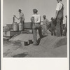 Drinking water for the whole town, also for the migrant camp across the road. Tulelake, Siskiyou County, California. See caption numbers 63-1 and 44