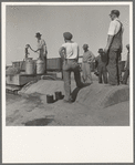 Drinking water for the whole town, also for the migrant camp across the road. Tulelake, Siskiyou County, California. See caption numbers 63-1 and 44