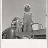Part of family come for work in potatoes. Tulelake, Siskiyou County, California. Left their home in Turkey, Texas, November, 1938. Picked cotton in Arizona till March. Picked fruit in Oregon till June. Picked prunes in Idaho till September 15th