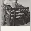 Farm boys from western Nebraska, now migrating farm workers on the Pacific Coast. Merrill, Klamath County, Oregon