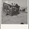 Farm boys from western Nebraska, now migrating farm workers on the Pacific Coast. Merrill, Klamath County, Oregon