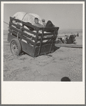 Farm boys from western Nebraska, now migrating farm workers on the Pacific Coast. Merrill, Klamath County, Oregon