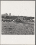 Young family on ditch bank, waiting to enter farm family labor camp (FSA - Farm Security Administration). They came from North Dakota, have young baby. "Two years in this kind of work." Merrill, Klamath County, Oregon