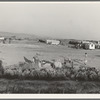 Families camped on flat before season opens, waiting for the Farm Security Administration (FSA) mobile unit to open. No sanitation, no water. Near Merrill, Klamath County, Oregon