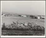 Families camped on flat before season opens, waiting for the Farm Security Administration (FSA) mobile unit to open. No sanitation, no water. Near Merrill, Klamath County, Oregon