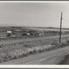 Camp of migrant potato pickers seen from potato shed across the road. [Tulelake], Siskiyou County, California. General caption number 63-1